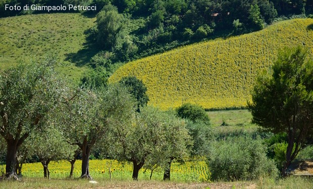 Schiavitù moderna e cambiamenti climatici: l'impegno della città